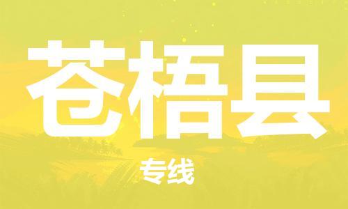 石家庄到苍梧县物流公司-物流一点通，发货更轻松