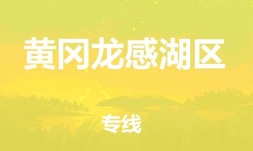 石家庄到黄冈龙感湖区物流公司-物流一点通，发货更轻松