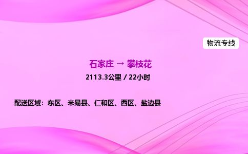 石家庄到攀枝花物流公司-货运专线2026省市县<高效准时> 石家庄到攀枝花物流公司-货运专线2026省市县<高效准时>